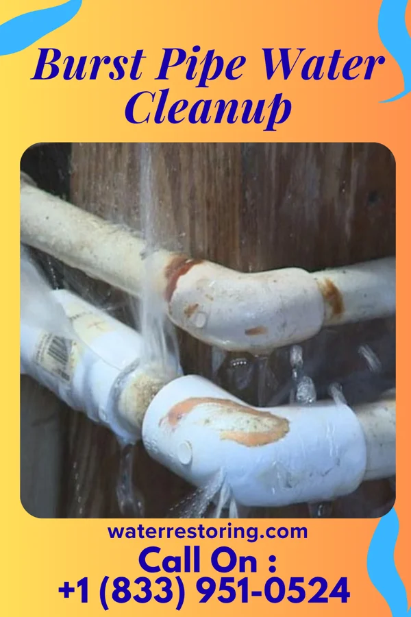 Burst Pipe Water Cleanup in Swea City, IA