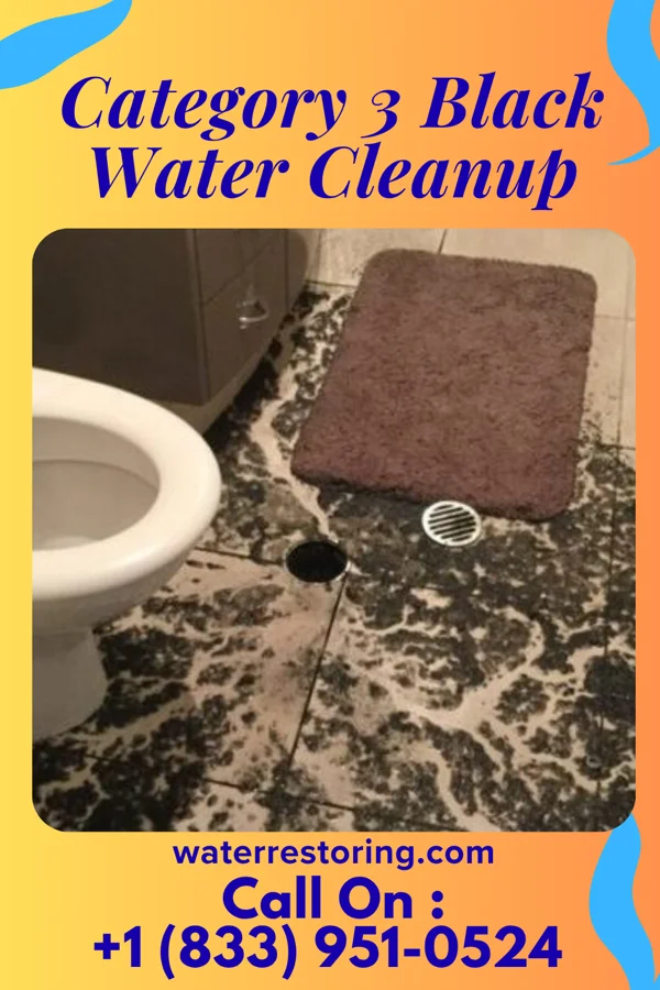 Category 3 Black Water Cleanup in Swea City, IA