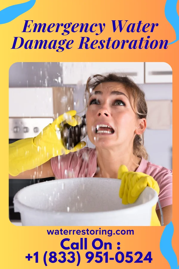 Emergency Water Damage Restoration in Swea City, IA