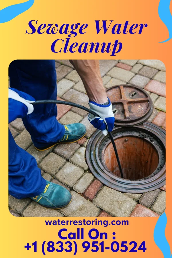 Sewage Water Cleanup in Swea City, IA