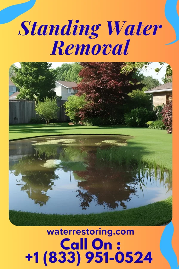 Standing Water Removal in Swea City, IA